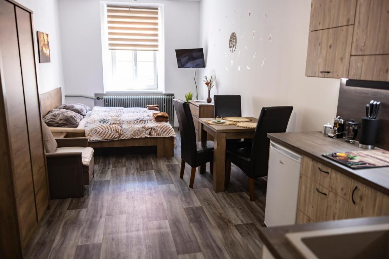 Apartmany Nezarka A Privatni Wellness Йиндржихув-Градец Экстерьер фото